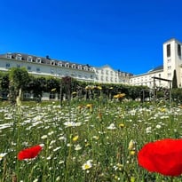 Visite guidée du site de la Maison-Mère