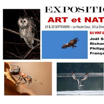 Exposition photos Art et Nature