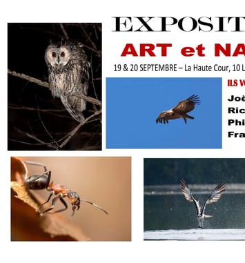 Exposition photos Art et Nature