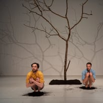 Nous, la forêt, ou comment se planter