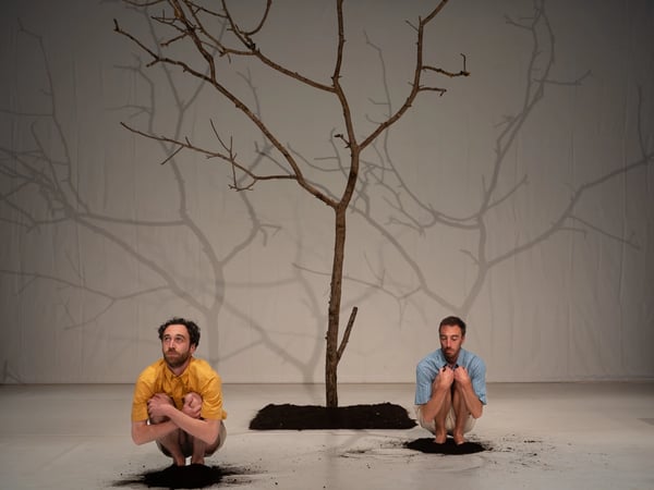Nous, la forêt, ou comment se planter