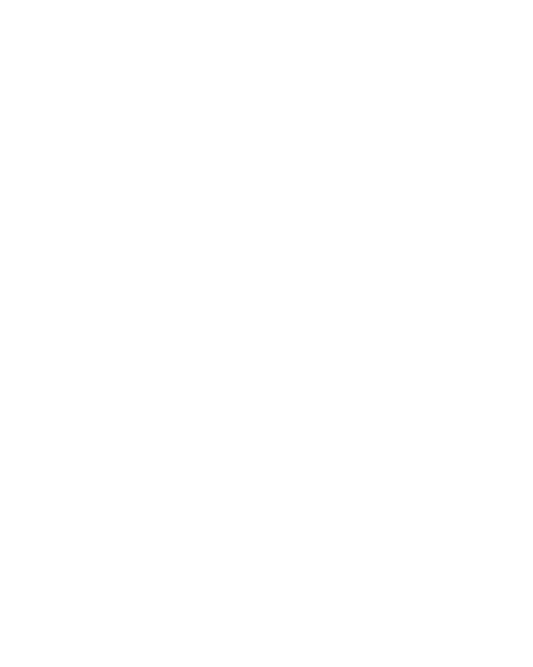 Les Z’Eclectiques