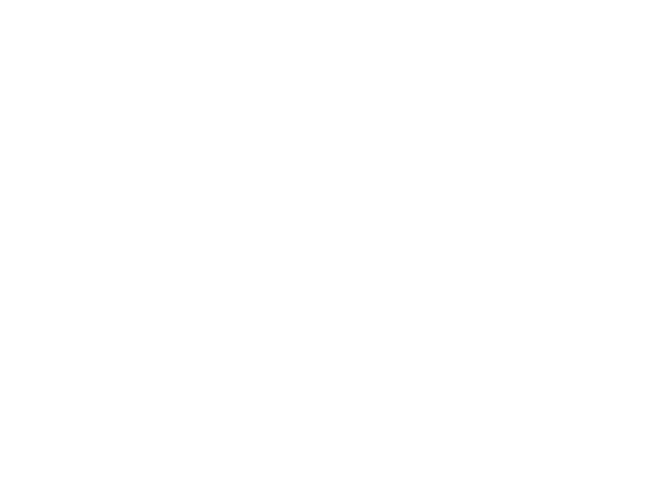 Les Z’Eclectiques