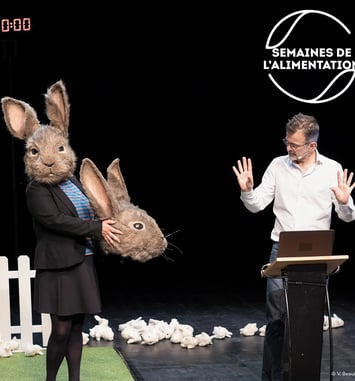 Le problème lapin, cartographie 7