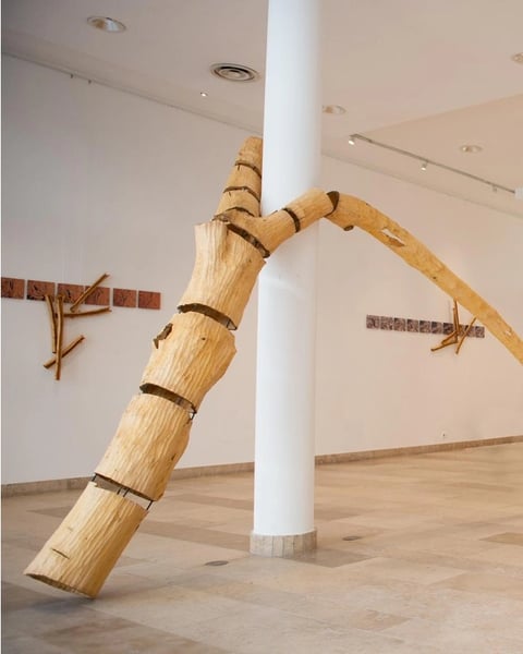 Exposition Contenir l'ouragan de Daniel Van de Velde à la Maison Julien Gracq