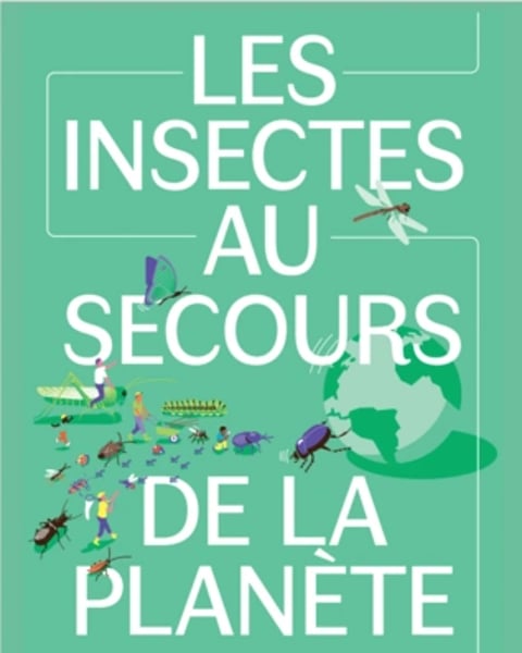 Les insectes au secours de la planète