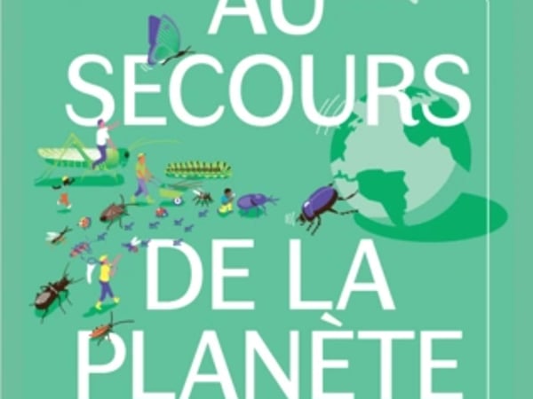 Les insectes au secours de la planète