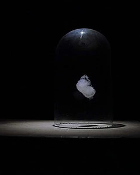 Le Silence du monde