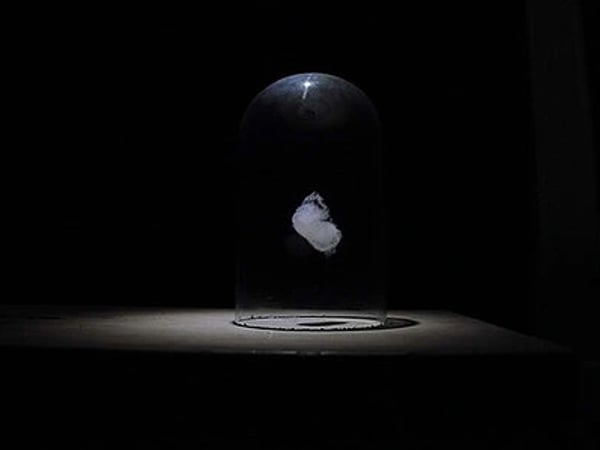 Le Silence du monde